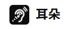 耳朵的主人